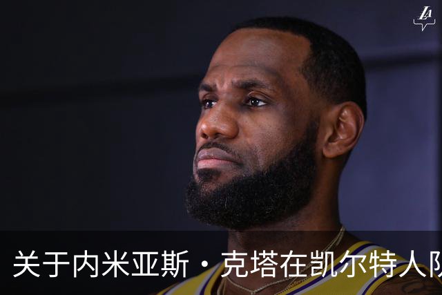 关于内米亚斯·克塔在凯尔特人队中的重要性及其犯规问题的探讨